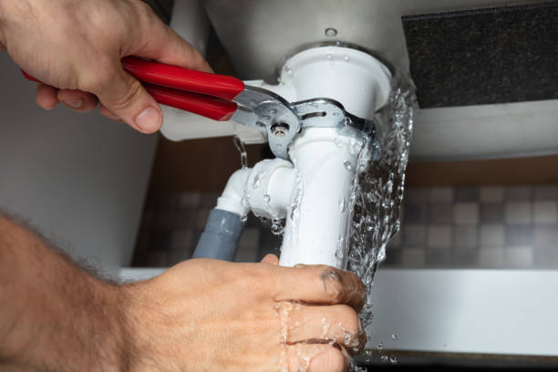 Best 24/7 water damage repair  in Lake Alfred, FL