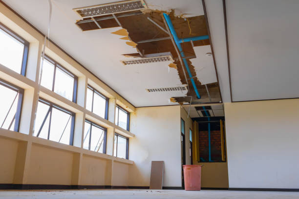 Best Flood damage cleanup  in Lake Alfred, FL