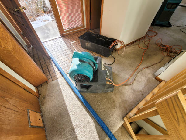  Lake Alfred, FL Water damage restoration Pros