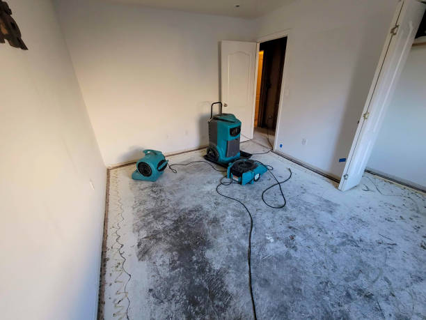 Sewage cleanup and water damage restoration in Lake Alfred, FL