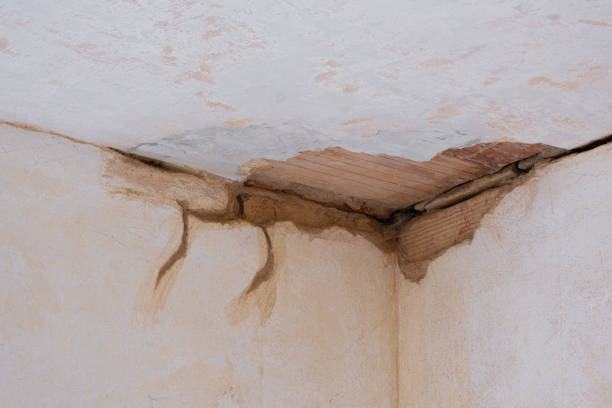 Best Emergency water damage restoration  in Lake Alfred, FL
