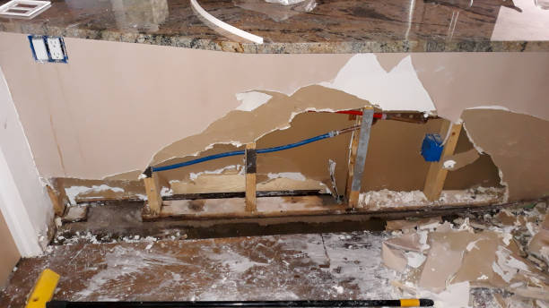 Best Flooded house restoration  in Lake Alfred, FL