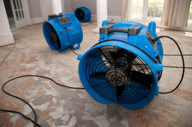 Best Sewage cleanup and water damage restoration  in Lake Alfred, FL