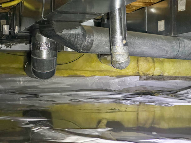 Best Fire Damage Restoration  in Lake Alfred, FL