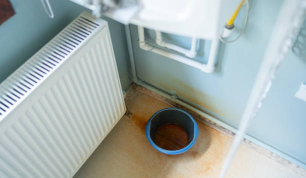 Best Mold removal after water damage  in Lake Alfred, FL