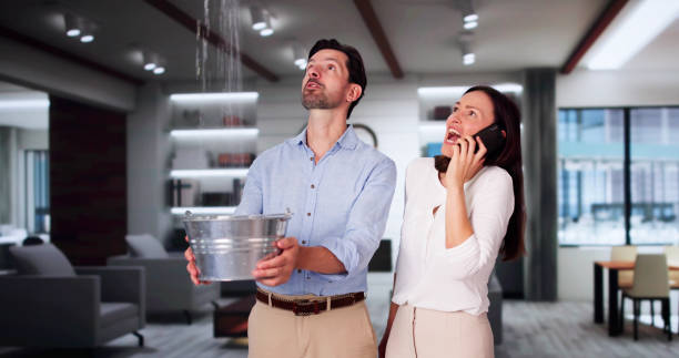 Best Water damage restoration near me  in Lake Alfred, FL